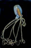 Deepsea Alien,  (31kb)