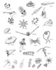 Plankton organisms (33kb)