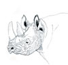 rhino, Nashorn (36kb)